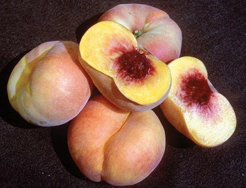 Sweet Bagel Peach 1 Sweet Bagel Peach