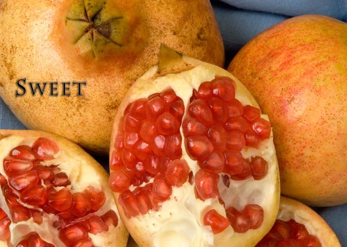 Sweet Pomegranate 1 Sweet Pomegranate